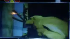 Кости 5 сезон 6 серия