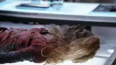 Кости 9 сезон 22 серия