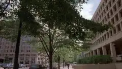 Кости 11 сезон 4 серия