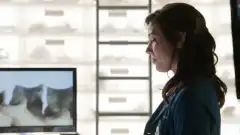 Кости 11 сезон 20 серия