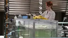 Кости 12 сезон 4 серия