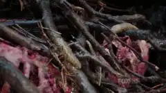 Кости 9 сезон 8 серия